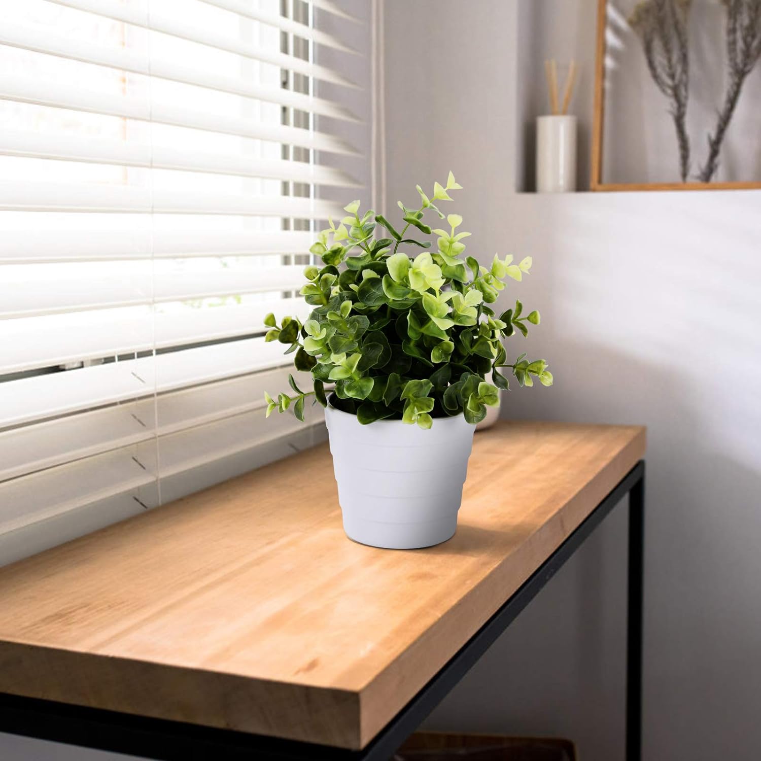 گوڵی سروشتی سەرمێز