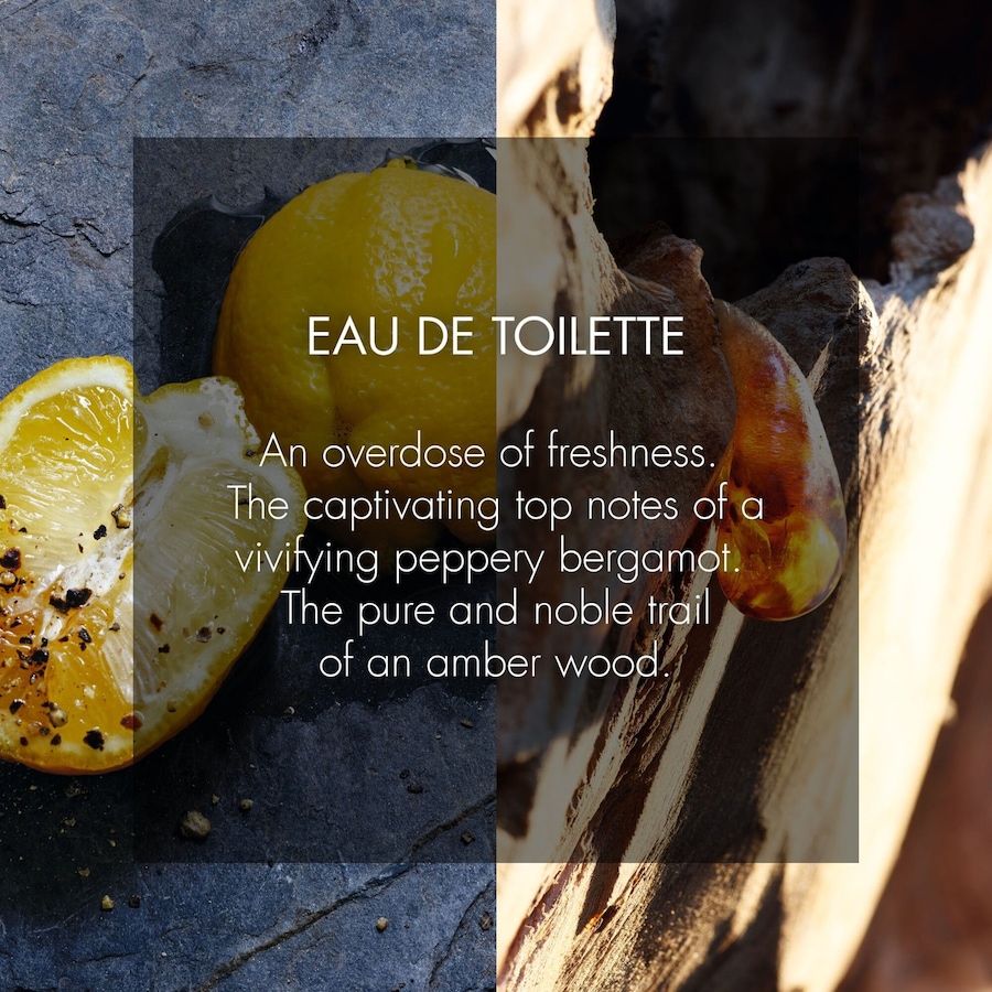 Dior SAUVAGE Eau de Toilette