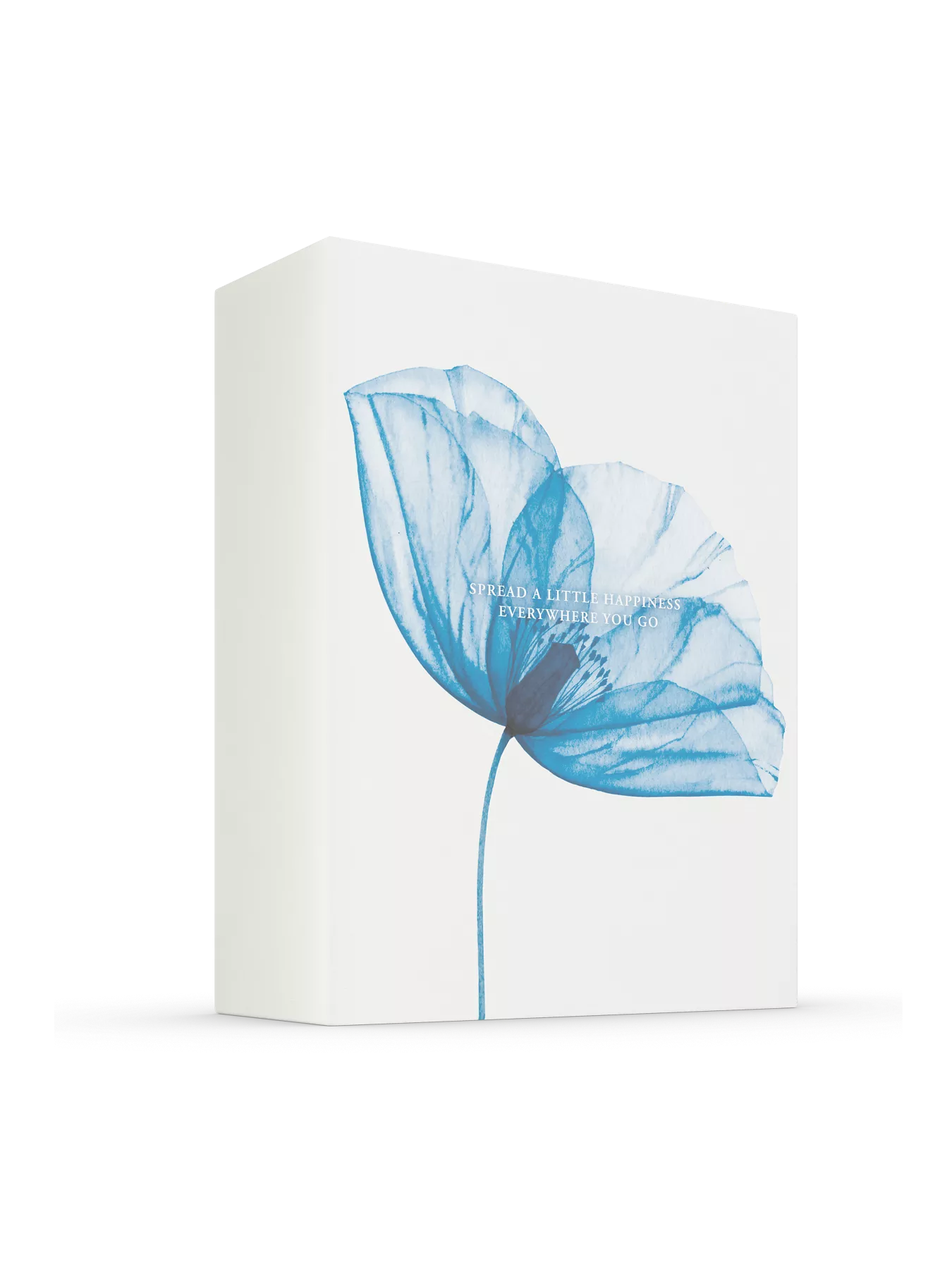 THE RITUAL OF HAMMAM